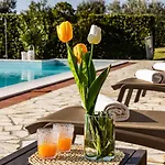 Bio Fattoria Il Poggiarello Βίλα Βολτέρρα